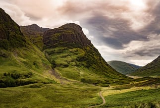 Scotland woodland