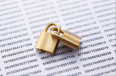 secure your data